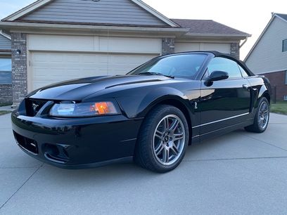 Used 2003 Ford Mustang Cobra