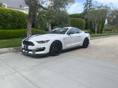 Used 2016 Ford Mustang Shelby GT350R w/ GT350R Equipment Group 920A