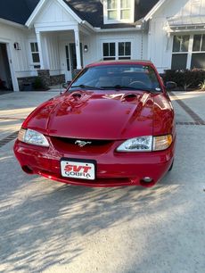 Used 1997 Ford Mustang Cobra