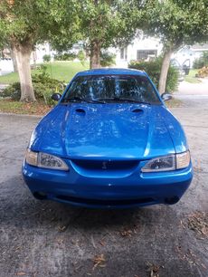 Used 1998 Ford Mustang Cobra