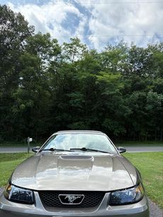 Used 2001 Ford Mustang Deluxe Convertible