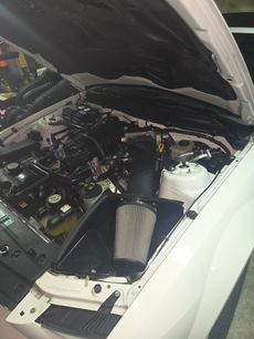 Used 2007 Ford Mustang Shelby GT500