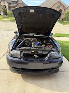 Used 2001 Ford Mustang GT