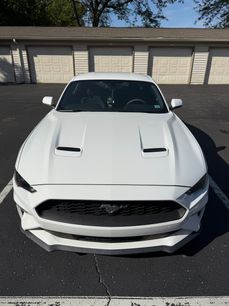 Used 2019 Ford Mustang Coupe