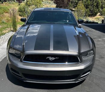 Used 2014 Ford Mustang Coupe w/ Equipment Group 102A