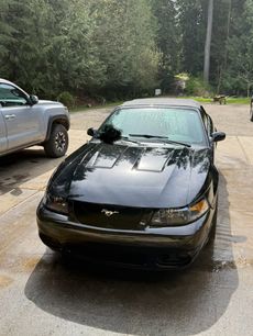Used 2003 Ford Mustang Cobra