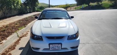 Used 1999 Ford Mustang Cobra