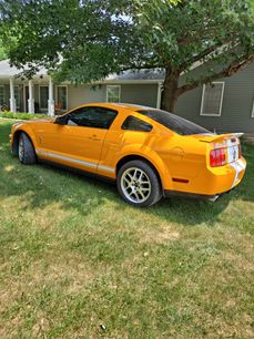 Used 2008 Ford Mustang Shelby GT500
