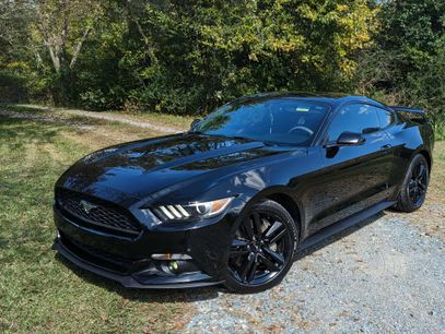 Used 2015 Ford Mustang Premium w/ Ecoboost Performance Package