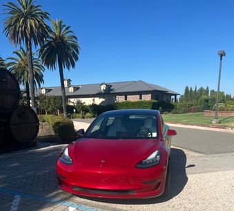 Used 2019 Tesla Model 3 Standard Range Plus