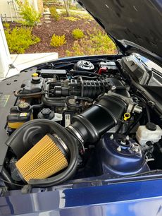 Used 2010 Ford Mustang Shelby GT500