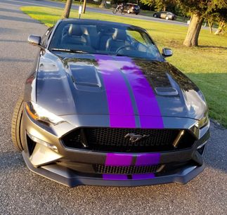 Used 2019 Ford Mustang GT Premium w/ GT Performance Package