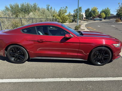 Used 2016 Ford Mustang Coupe w/ Ecoboost Performance Package