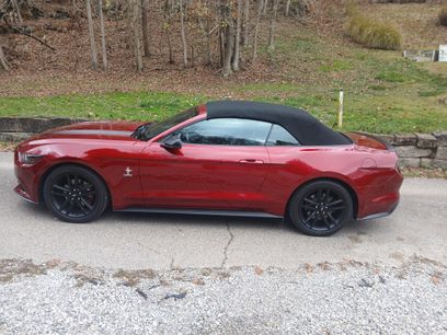 Used 2016 Ford Mustang Premium w/ Equipment Group 201A