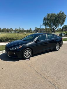 Used 2019 Hyundai Sonata SE
