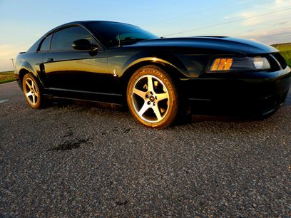 Used 2003 Ford Mustang Cobra