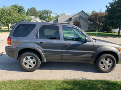Used 2002 Ford Escape XLT