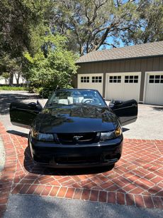 Used 2003 Ford Mustang Cobra