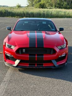 Used 2019 Ford Mustang Shelby GT350 w/ Technology Package