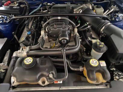 Used 2008 Ford Mustang Shelby GT500