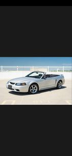 Used 2001 Ford Mustang Cobra