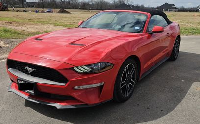 Used 2018 Ford Mustang Premium w/ Equipment Group 201A