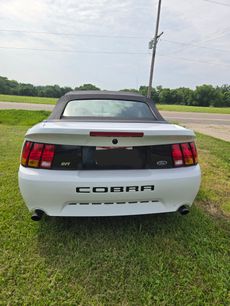 Used 2001 Ford Mustang Cobra