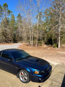 Used 2001 Ford Mustang GT