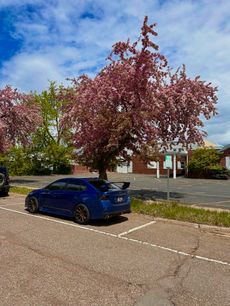 Used 2015 Subaru WRX STI Limited w/ Popular Package #1