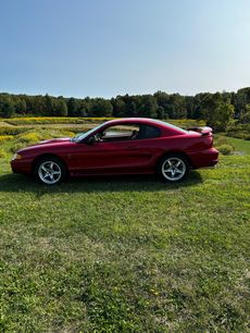 Used 1998 Ford Mustang Cobra