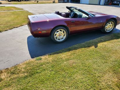 Used 1993 Chevrolet Corvette Convertible