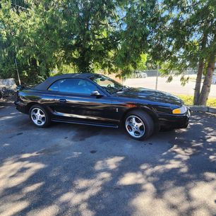 Used 1997 Ford Mustang Cobra