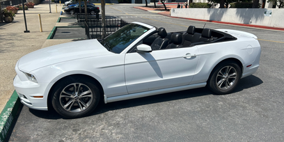 Used 2014 Ford Mustang Premium w/ Equipment Group 201A