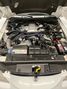 Used 1996 Ford Mustang Cobra