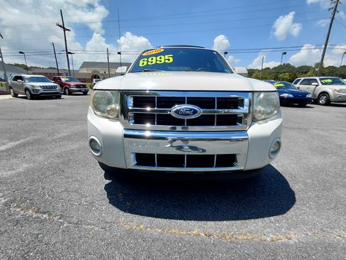 Used 2010 Ford Escape Limited image 5