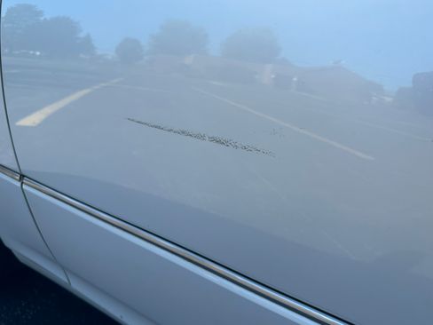 Used 2005 Lexus LS 430 image 11