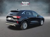Used 2020 Ford Escape SE image 5