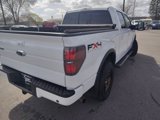 Used 2011 Ford F150 XLT image 3