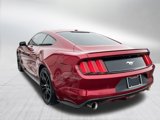 Used 2015 Ford Mustang Premium w/ Equipment Group 201A image 6