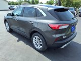 Certified 2020 Ford Escape SE image 3