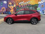 Used 2022 Ford Escape SE w/ SE Sport Appearance Package image 2