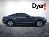 Used 2017 Ford Mustang Coupe image 2