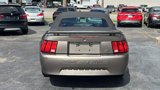 Used 2002 Ford Mustang Premium image 6