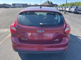 Used 2014 Ford Focus SE w/ SE Winter Package image 4