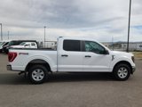 Certified 2023 Ford F150 XLT image 2