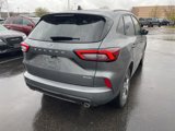 Used 2024 Ford Escape ST-Line image 6