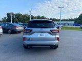 New 2024 Ford Escape ST-Line w/ Tech Pack #1 image 4