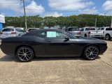 Used 2010 Dodge Challenger SE image 4