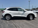 Used 2021 Ford Escape Titanium image 4