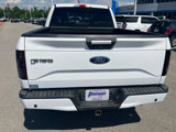 Used 2016 Ford F150 XLT w/ Equipment Group 302A Luxury image 6